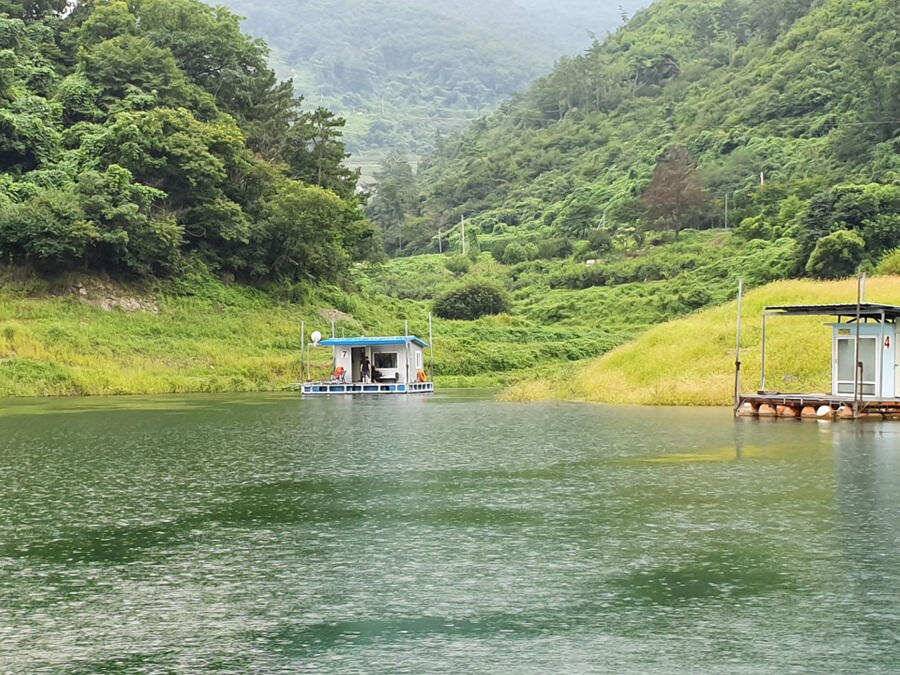 목벌낚시터 대물붕어와 살아나는 장어조황 명서낚시터4짜 대물붕어 소식입니다 (조황조행기 - 특파원조황)