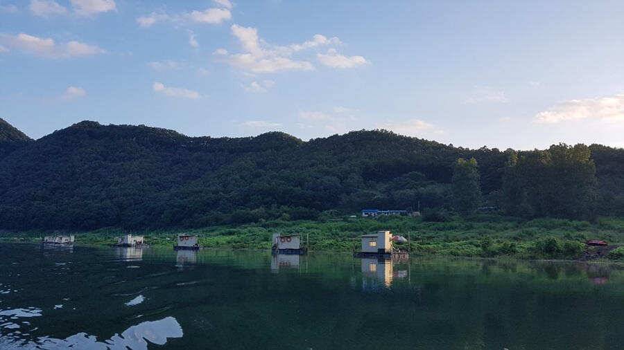 명서낚시터 4짜에 허리급 월척조황 (조황조행기 - 특파원조황)