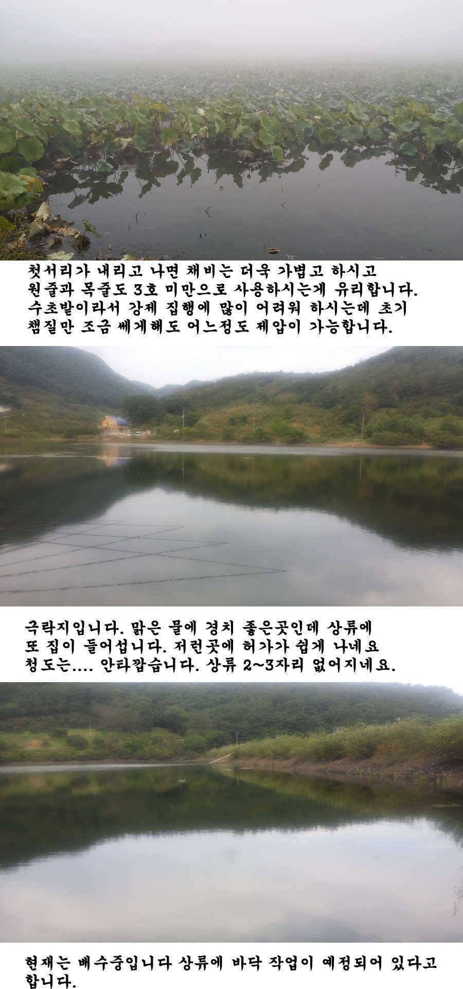 지난주 청도권 조황입니다 (조황조행기 - 특파원조황)