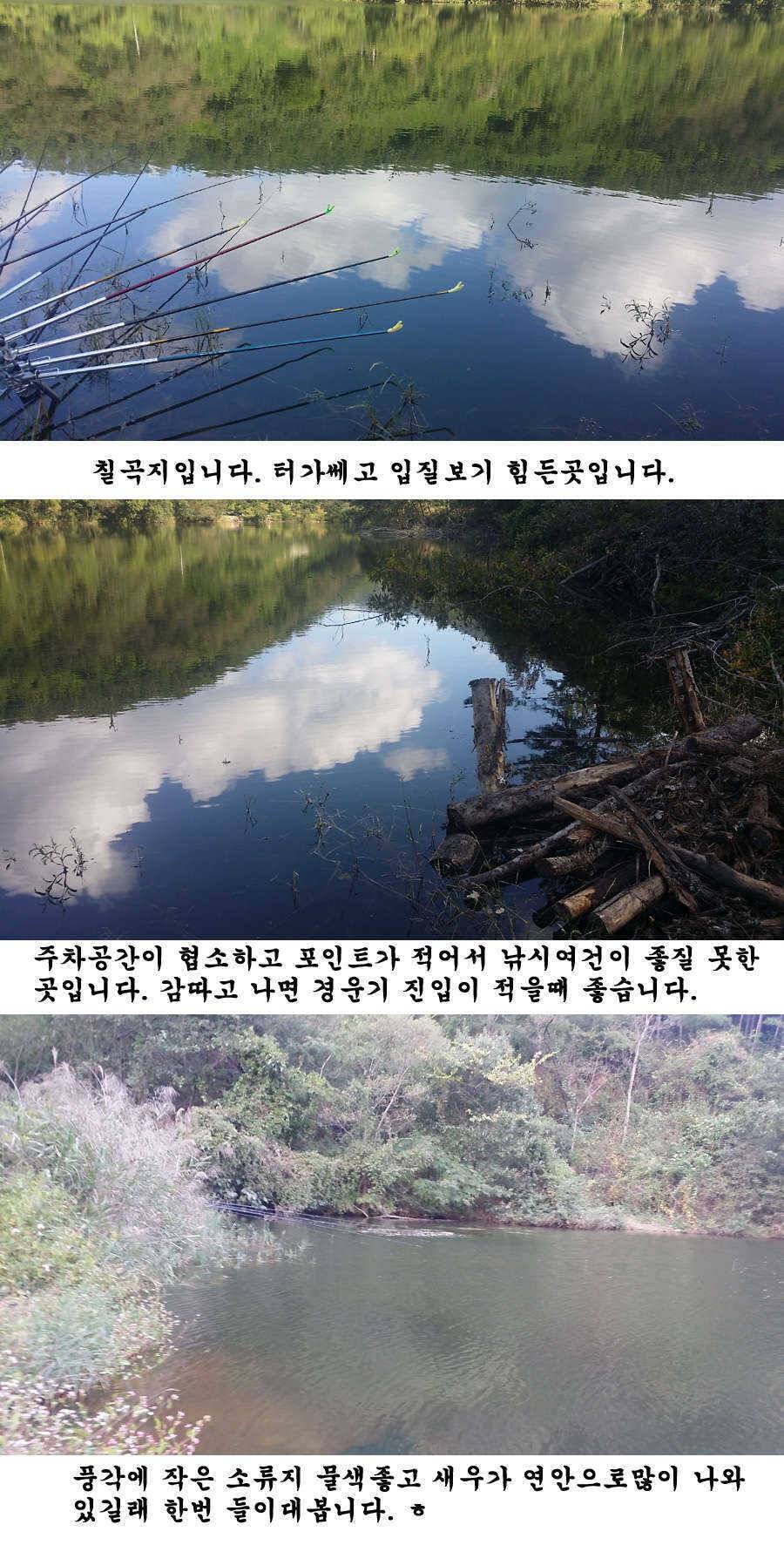 지난주 청도권 조황입니다 (조황조행기 - 특파원조황)