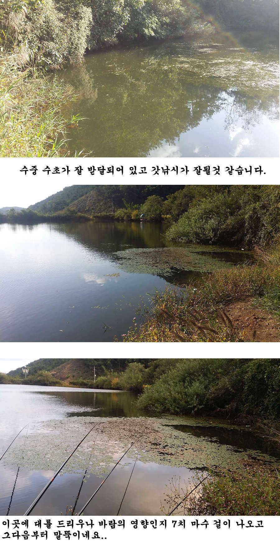 지난주 청도권 조황입니다 (조황조행기 - 특파원조황)