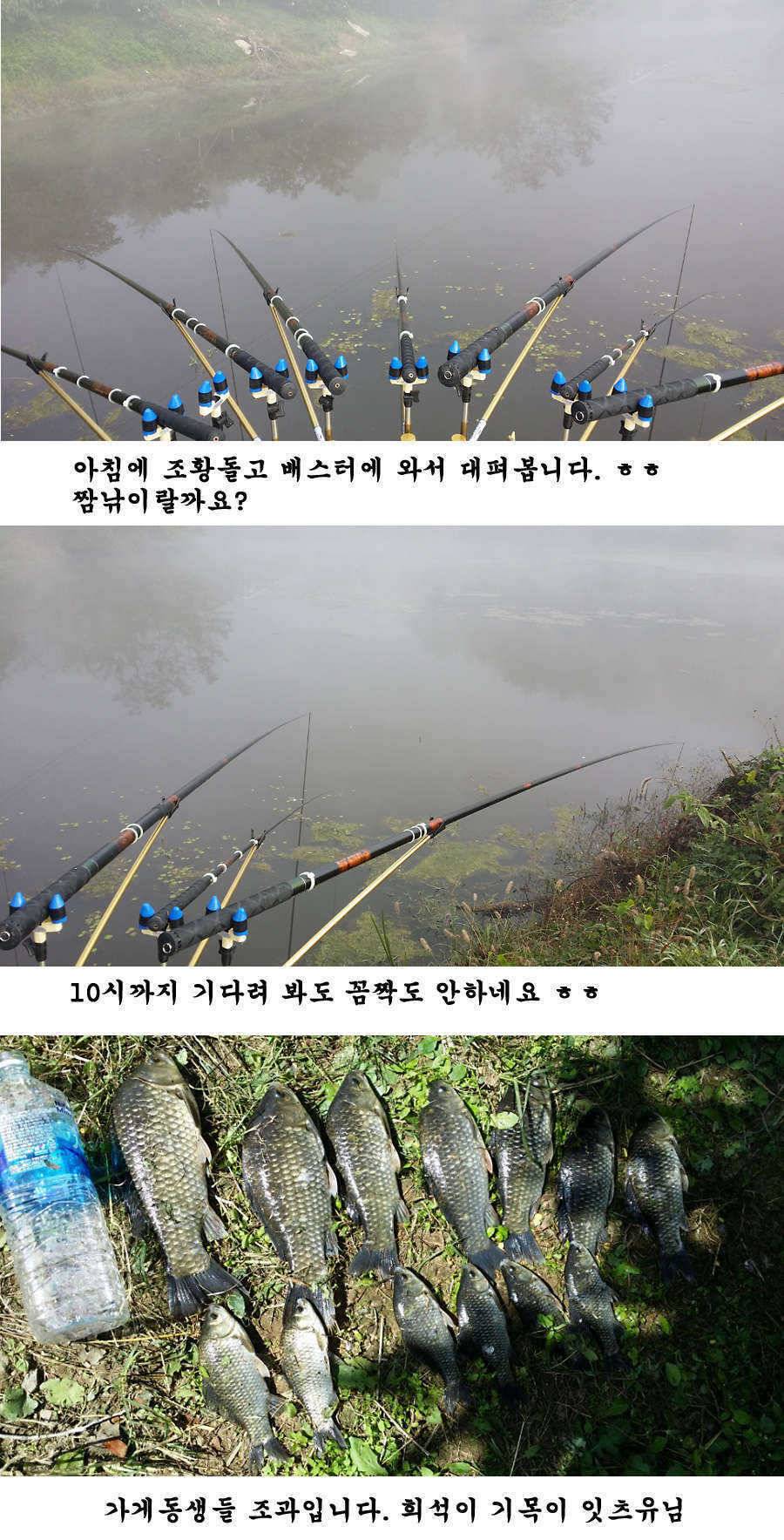 지난주 청도권 조황입니다 (조황조행기 - 특파원조황)