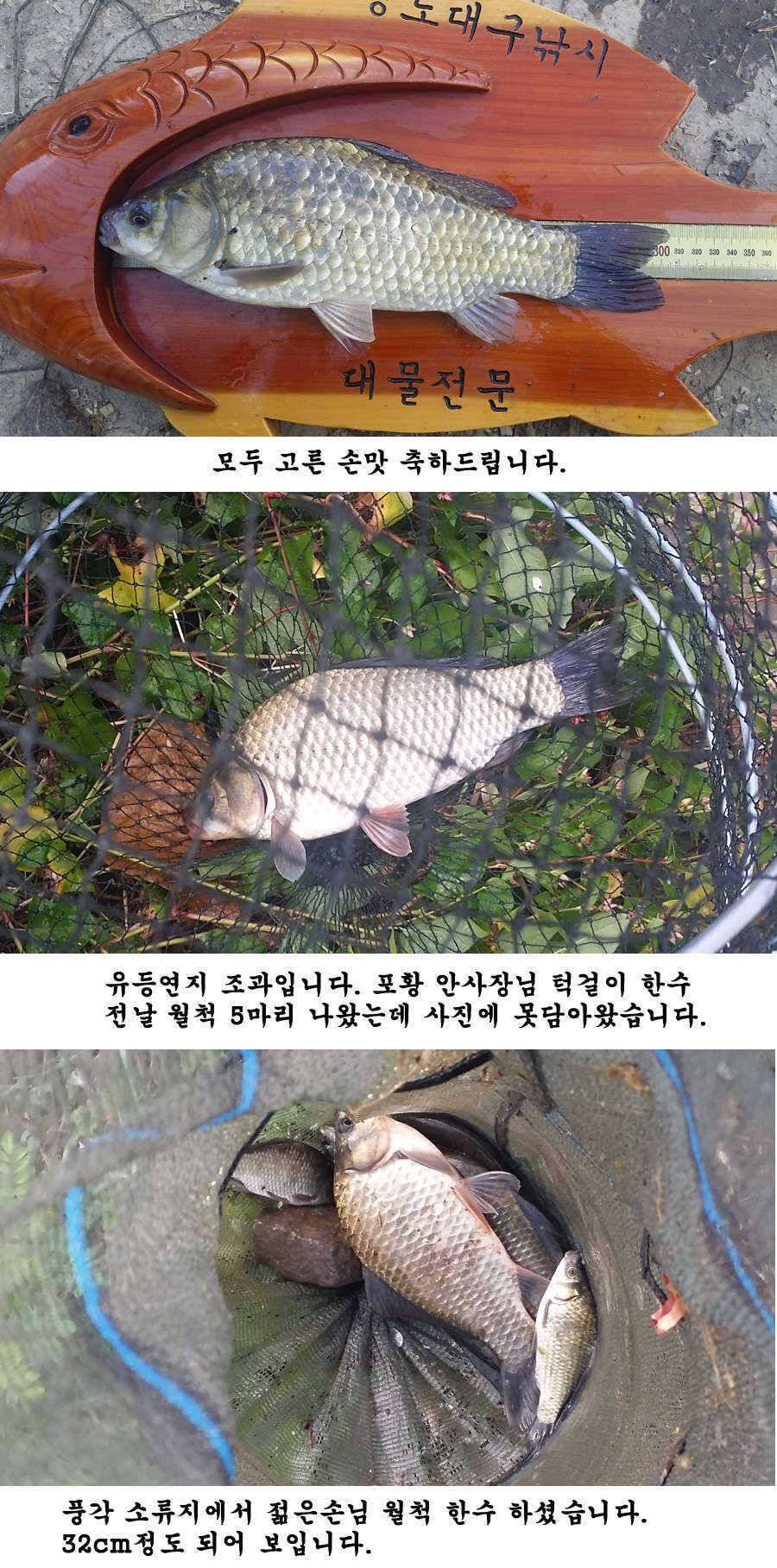지난주 청도권 조황입니다 (조황조행기 - 특파원조황)