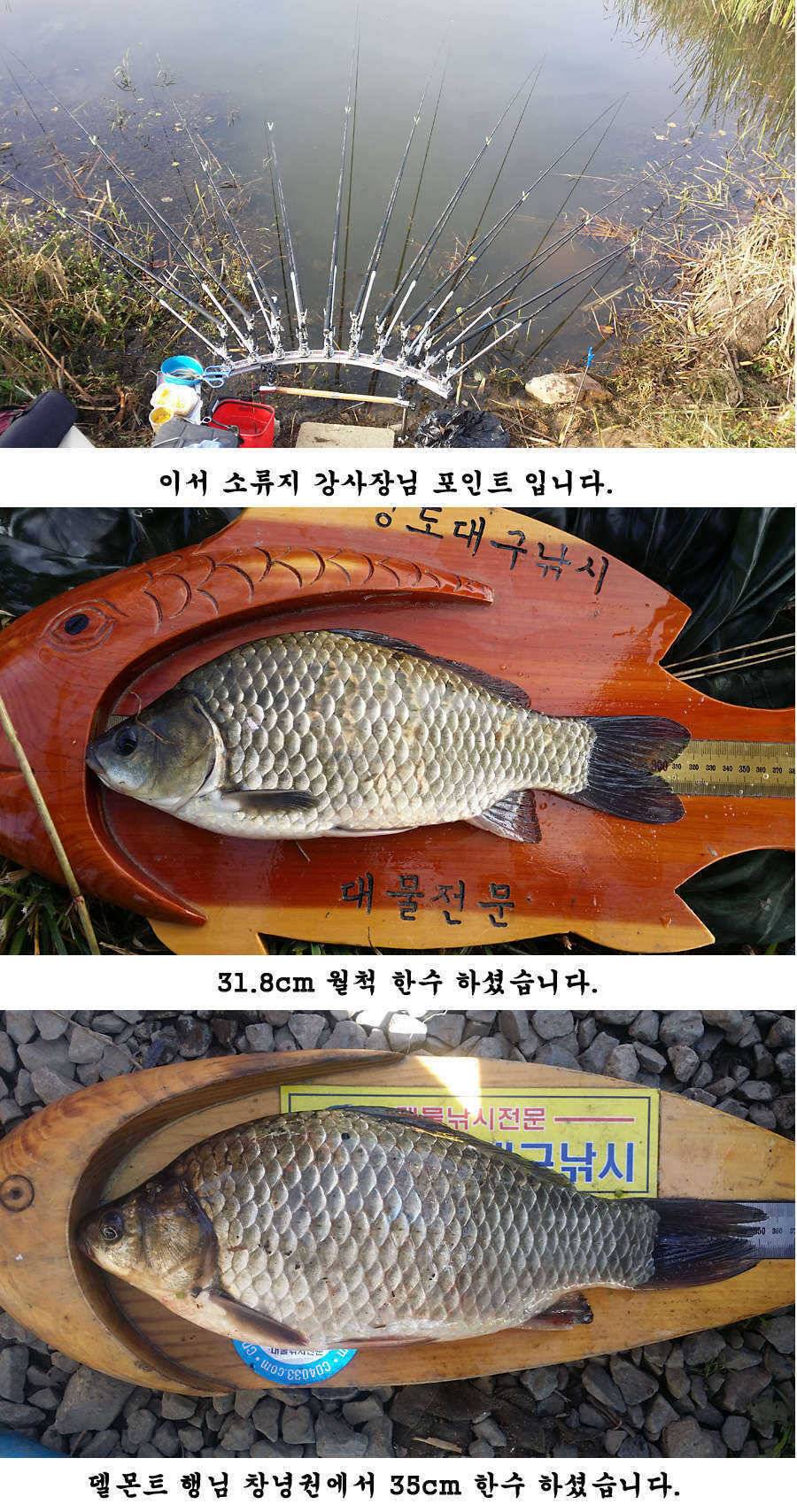 지난주 청도권 조황입니다 (조황조행기 - 특파원조황)