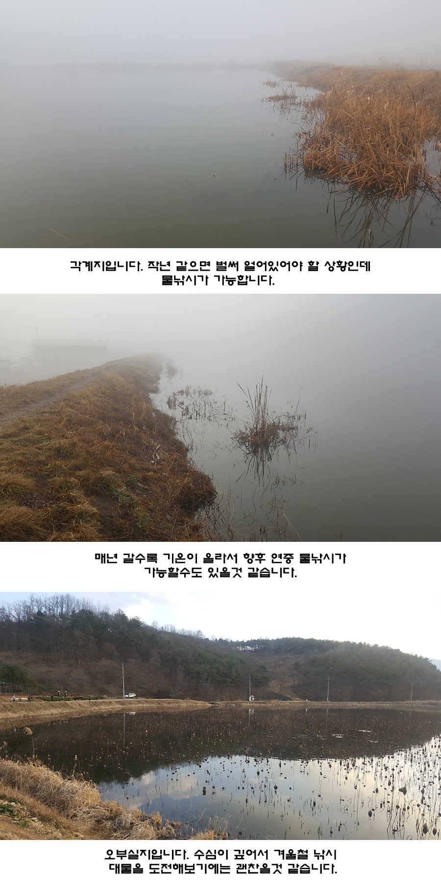 2017년 청도권 첫월척 조황 (조황조행기 - 특파원조황)