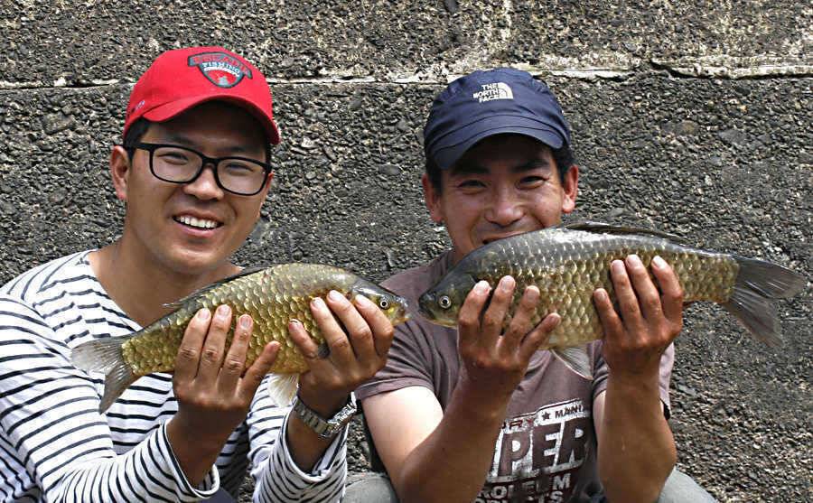 청도권 지난주 조황정보 (조황조행기 - 특파원조황)