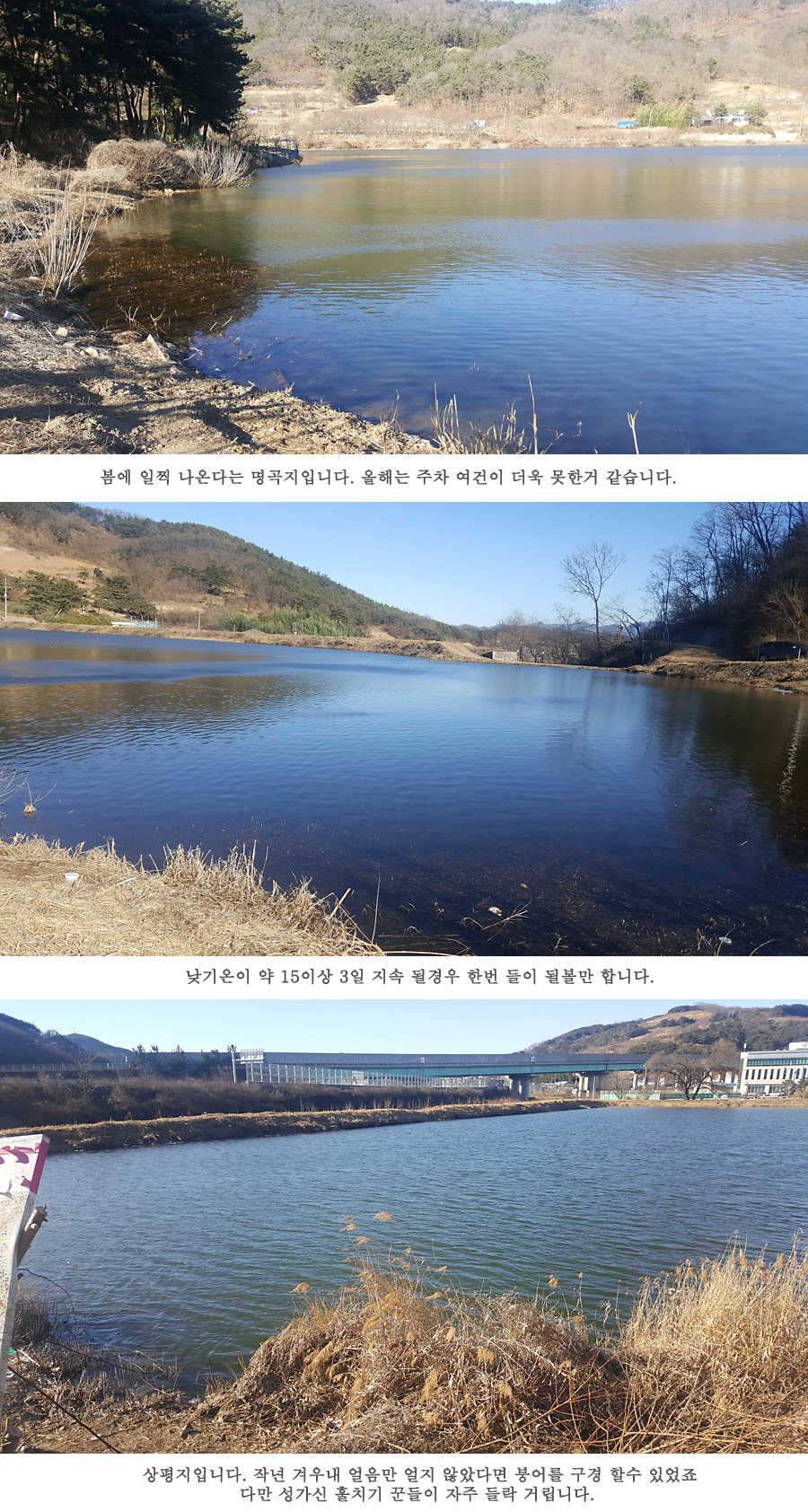 청도권 물낚시 마릿수 조황입니다 (조황조행기 - 특파원조황)