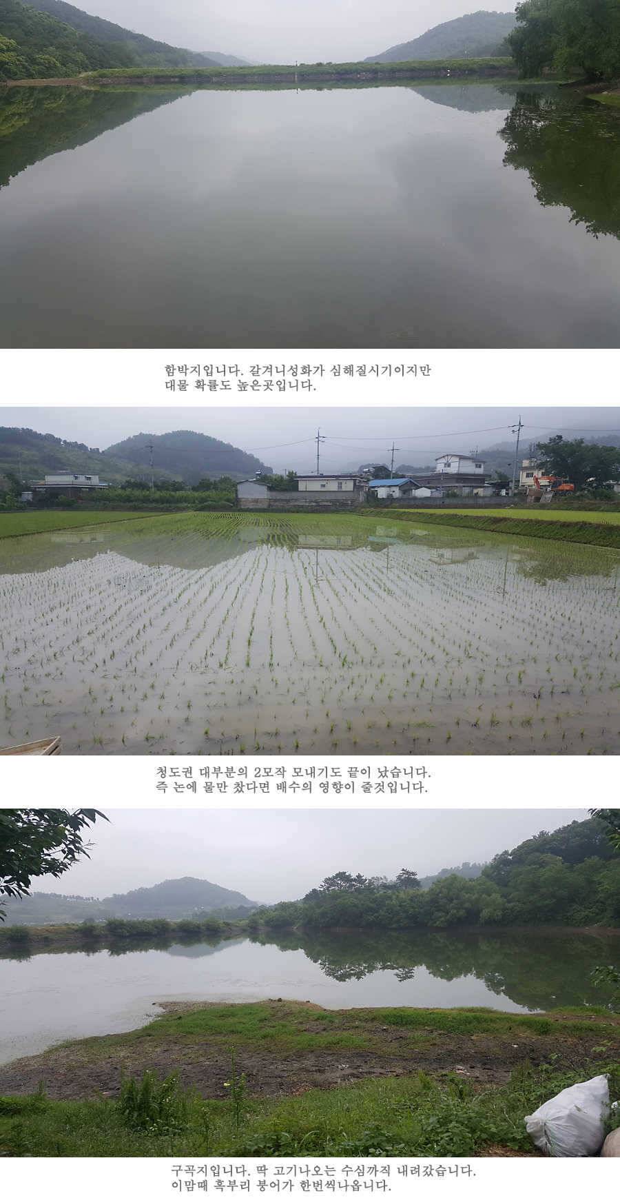 청도권 지난주 조황입니다 (조황조행기 - 특파원조황)