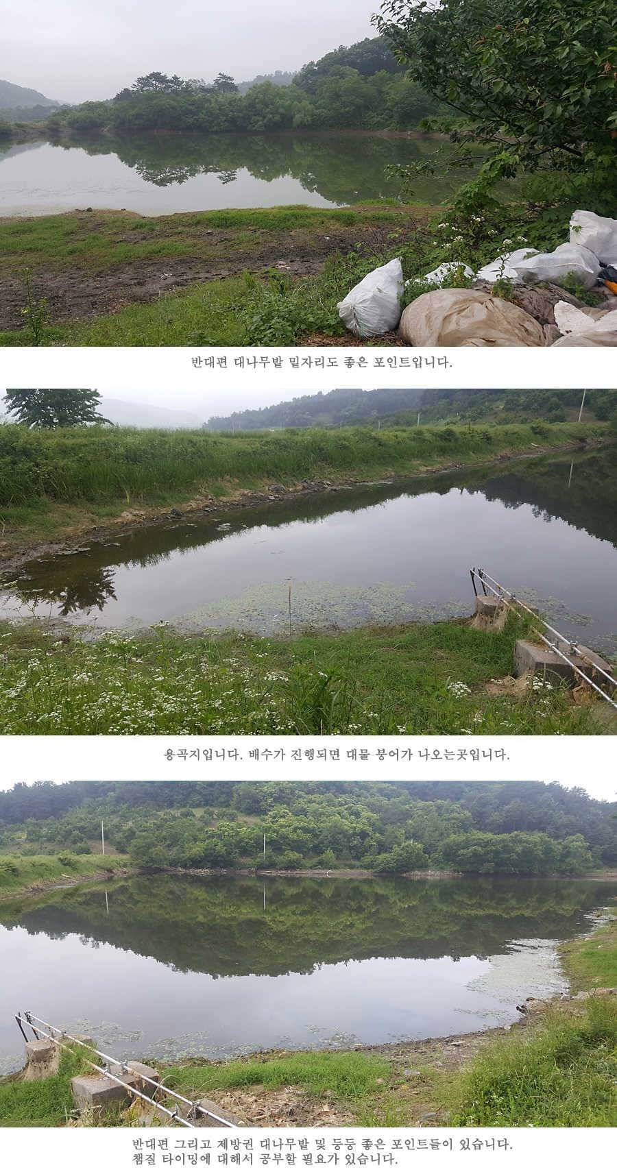 청도권 지난주 조황입니다 (조황조행기 - 특파원조황)