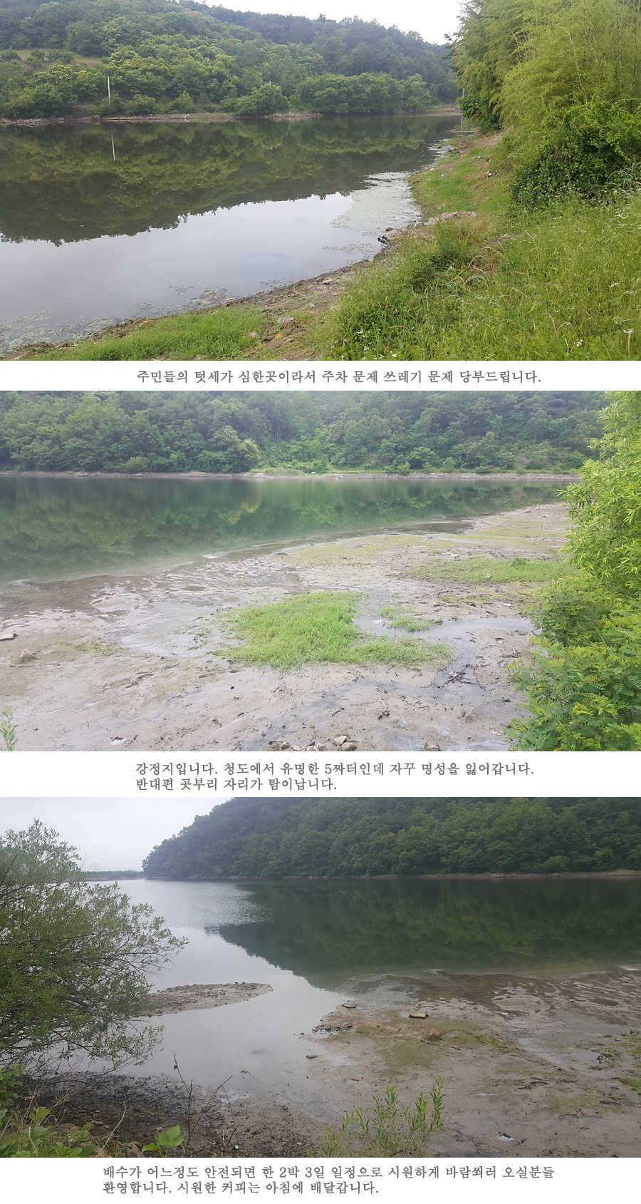 청도권 지난주 조황입니다 (조황조행기 - 특파원조황)