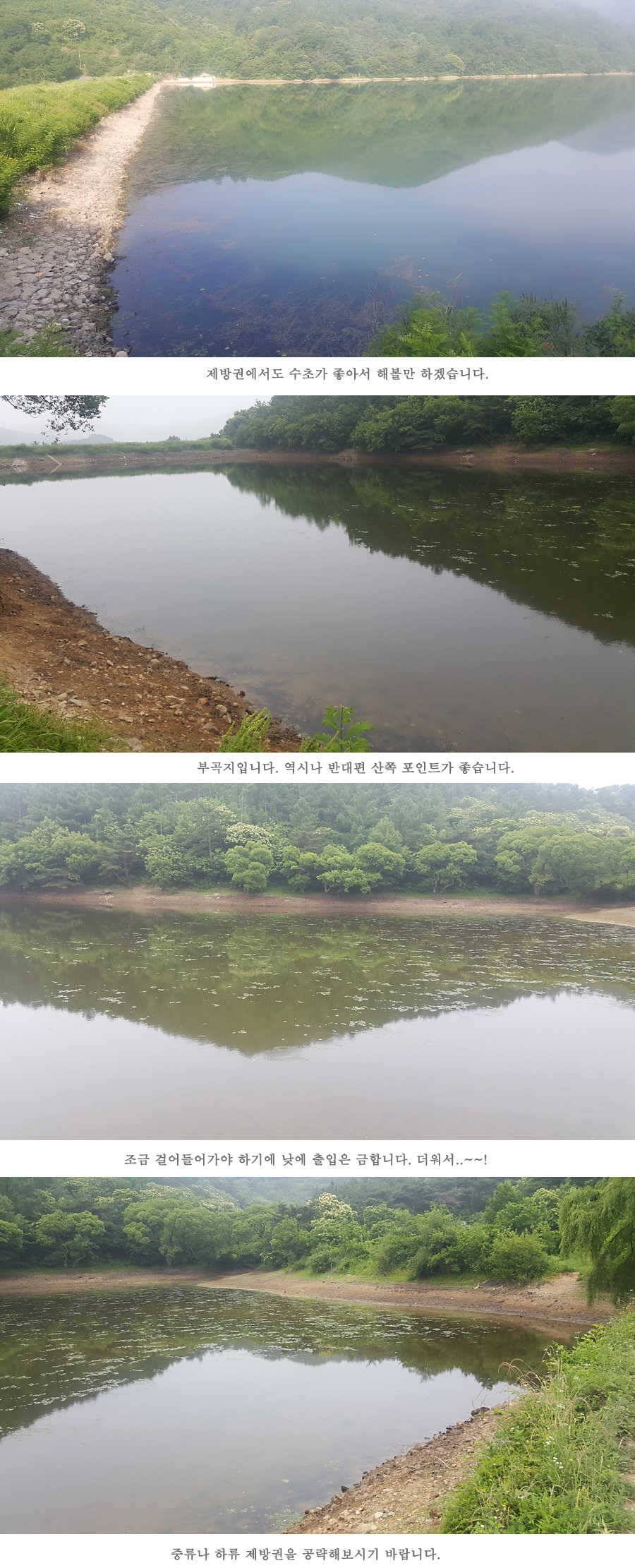 청도권 지난주 조황입니다 (조황조행기 - 특파원조황)