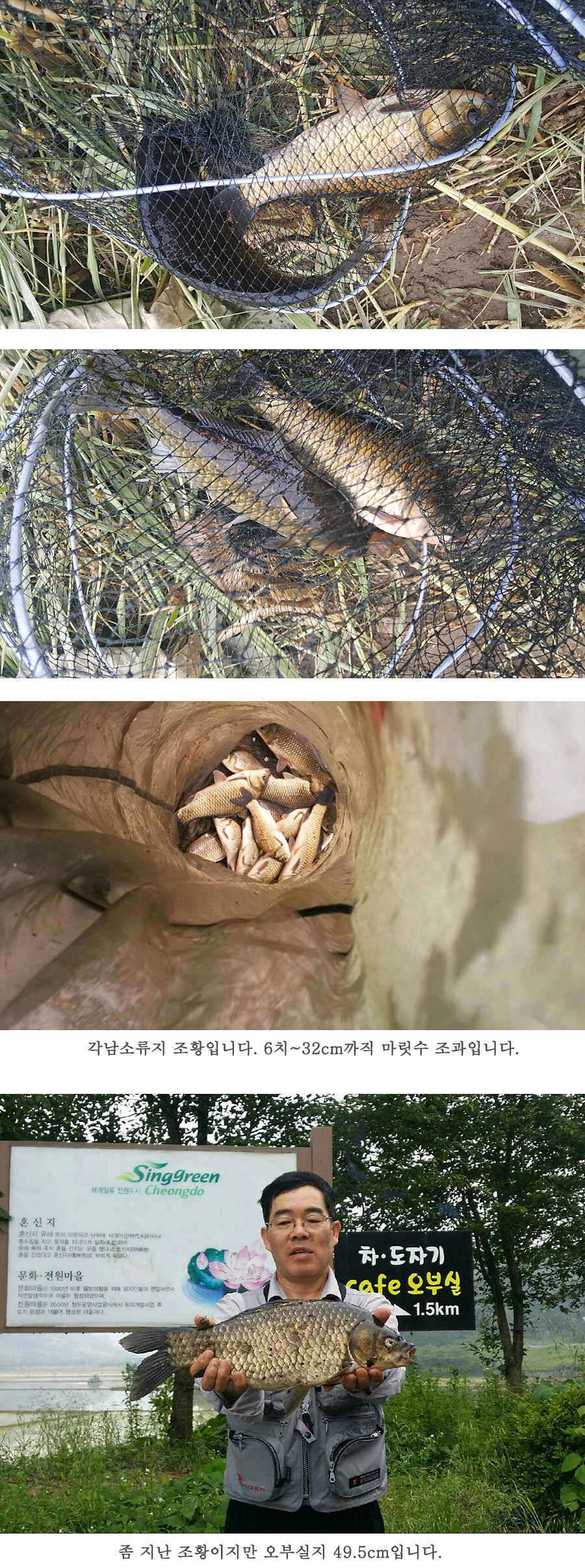 청도권 지난주 조황입니다 (조황조행기 - 특파원조황)