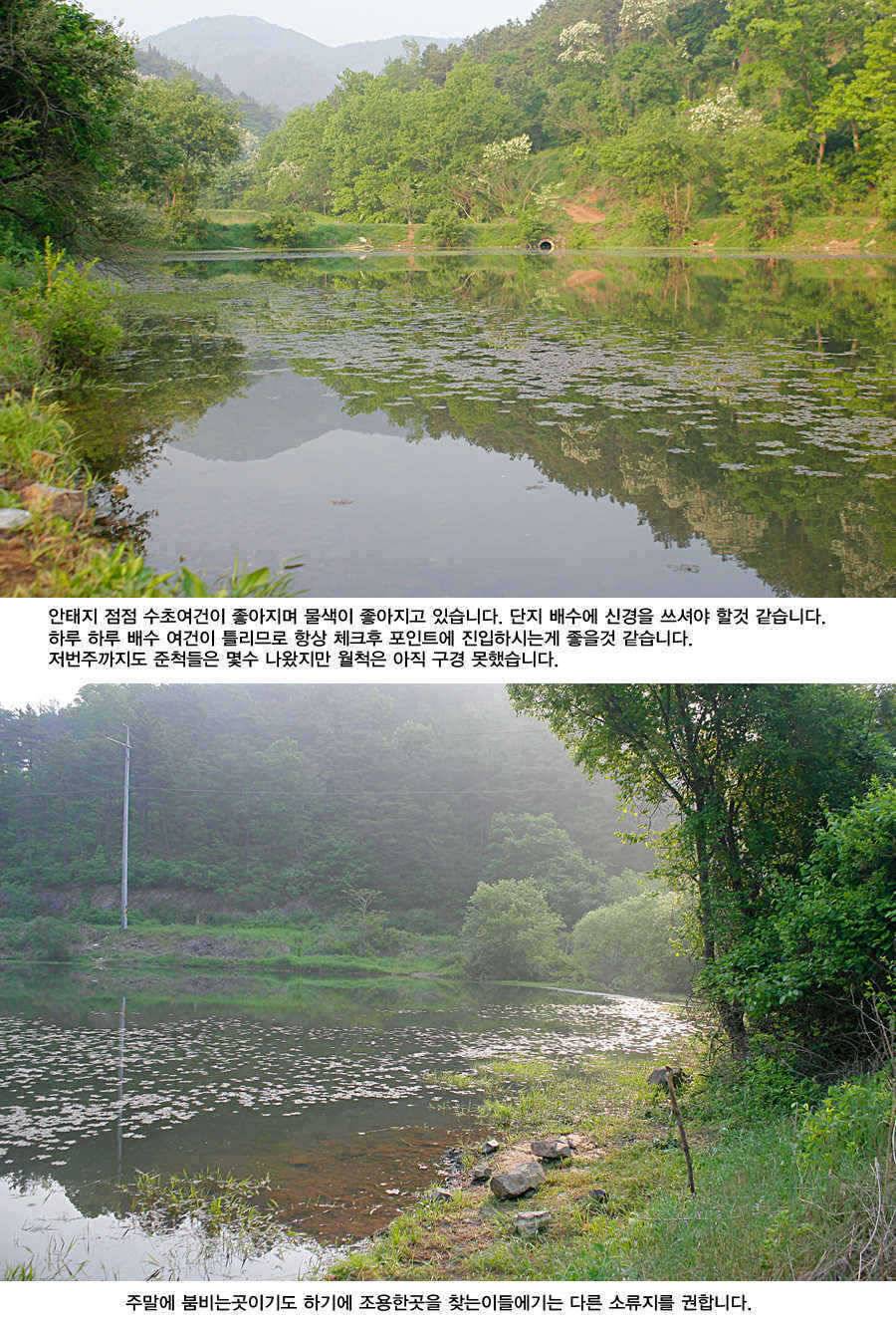 청도권 거대 핵잠수함 출현주말주중 (조황조행기 - 특파원조황)