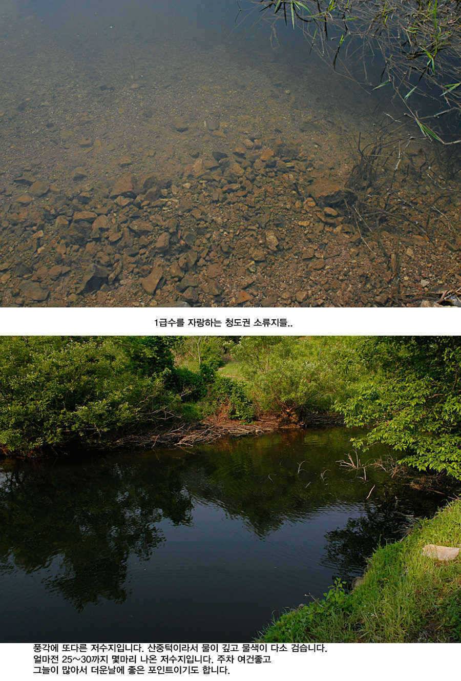 청도권 거대 핵잠수함 출현주말주중 (조황조행기 - 특파원조황)