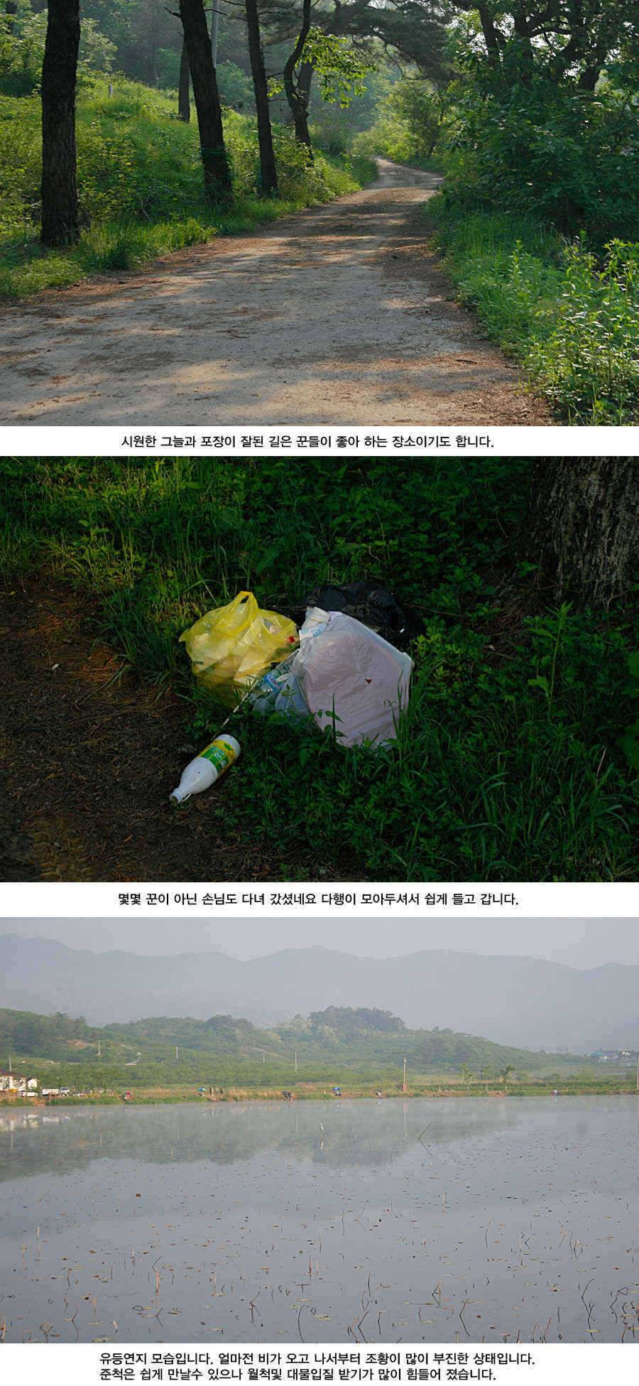 청도권 거대 핵잠수함 출현주말주중 (조황조행기 - 특파원조황)
