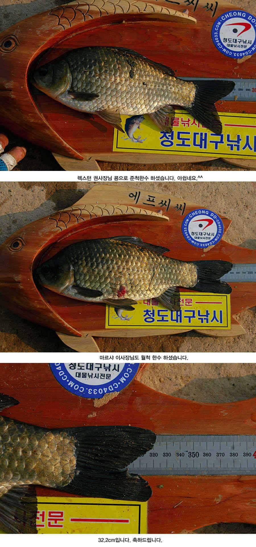 청도권 거대 핵잠수함 출현주말주중 (조황조행기 - 특파원조황)