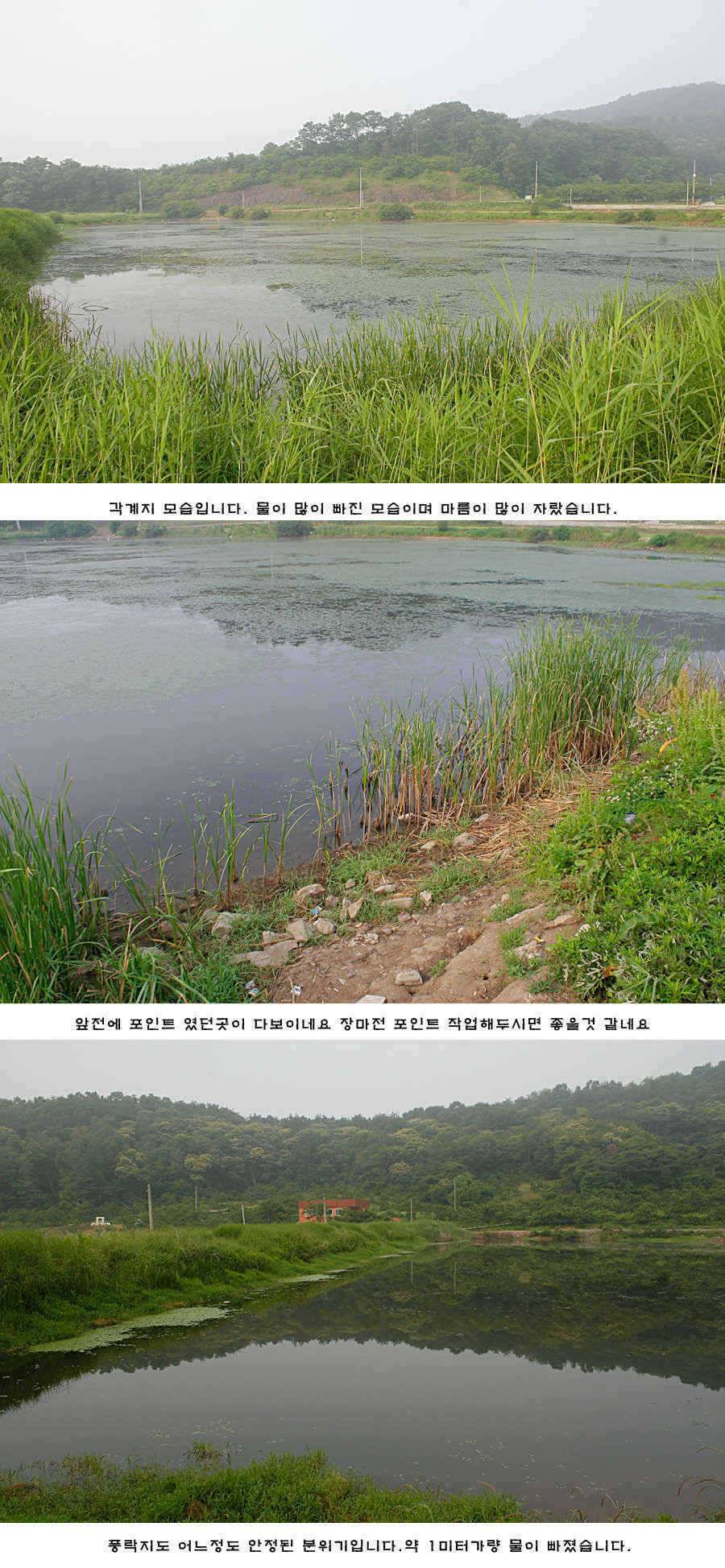 청도권 주중 조황 (조황조행기 - 특파원조황)