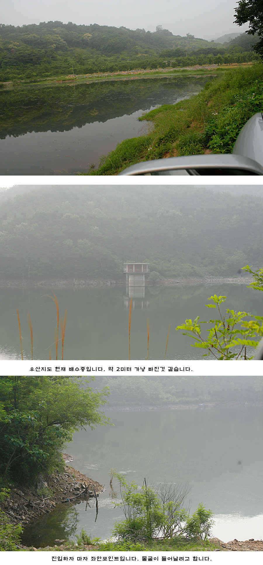 청도권 주중 조황 (조황조행기 - 특파원조황)