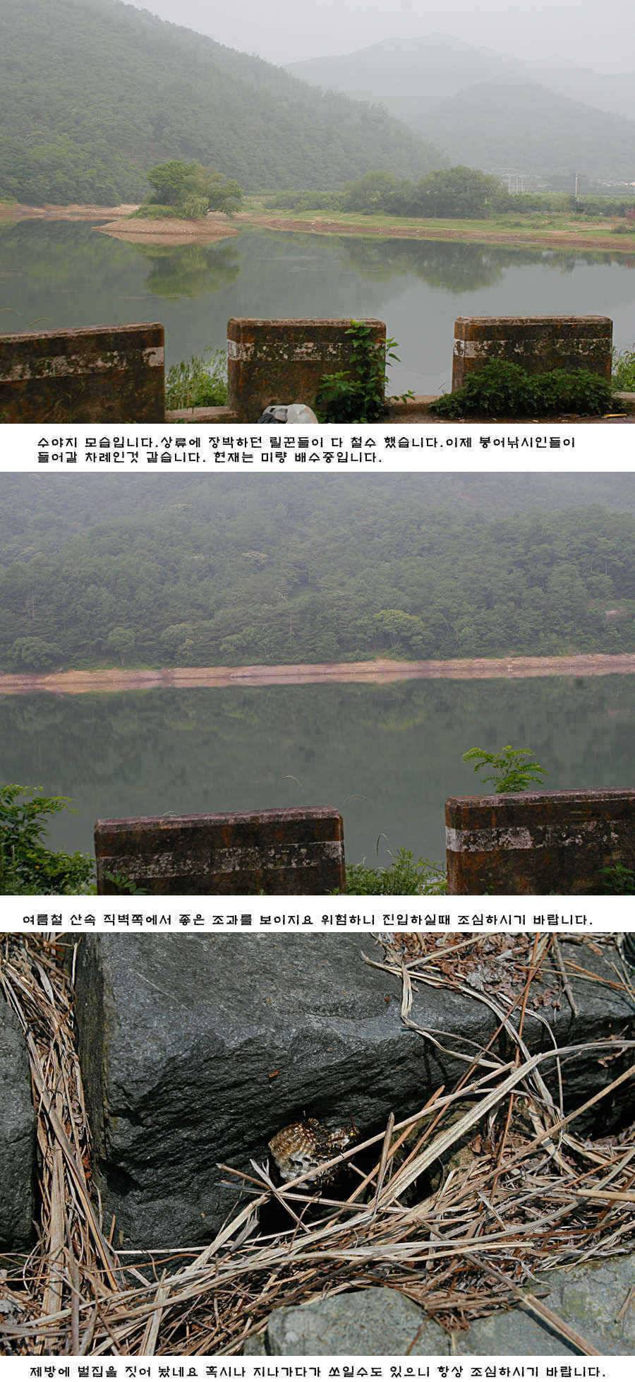 청도권 주중 조황 (조황조행기 - 특파원조황)
