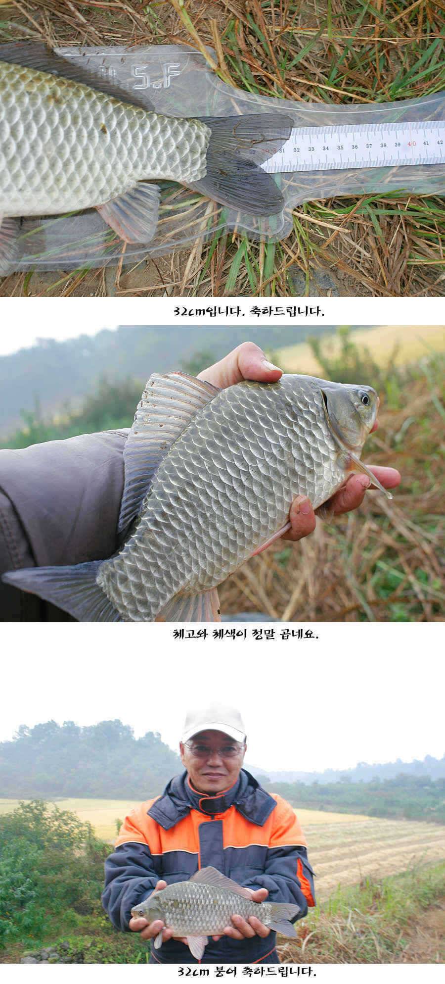청도권 주말주중 조황정보 (조황조행기 - 특파원조황)