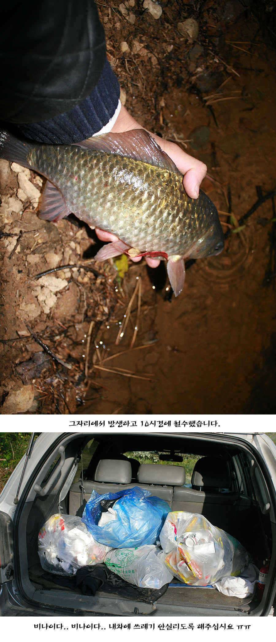 청도권 주말주중 조황정보 (조황조행기 - 특파원조황)
