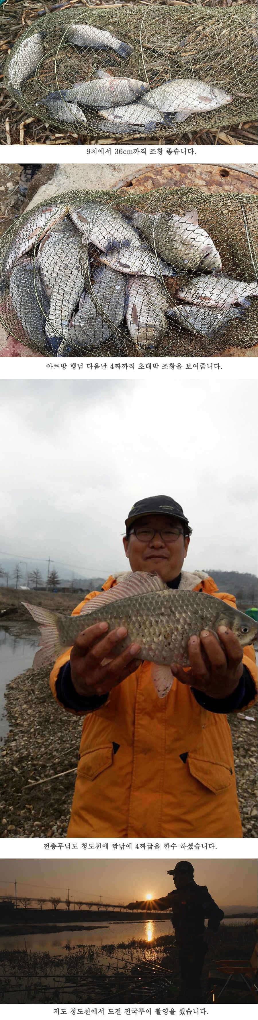 청도권 사짜까직 터지기 시작했습니다 (조황조행기 - 특파원조황)