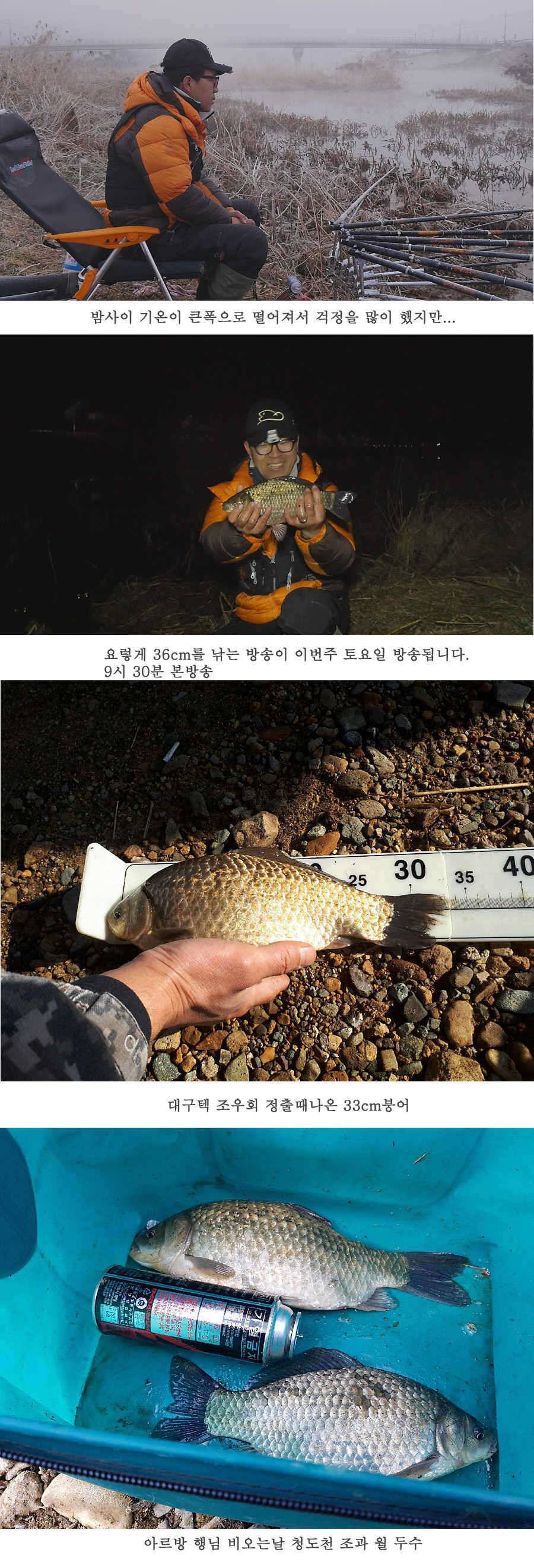 청도권 사짜까직 터지기 시작했습니다 (조황조행기 - 특파원조황)