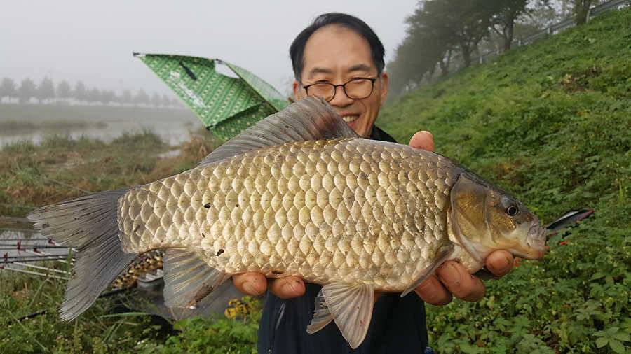 청도권 지난주 조황입니다 (조황조행기 - 특파원조황)