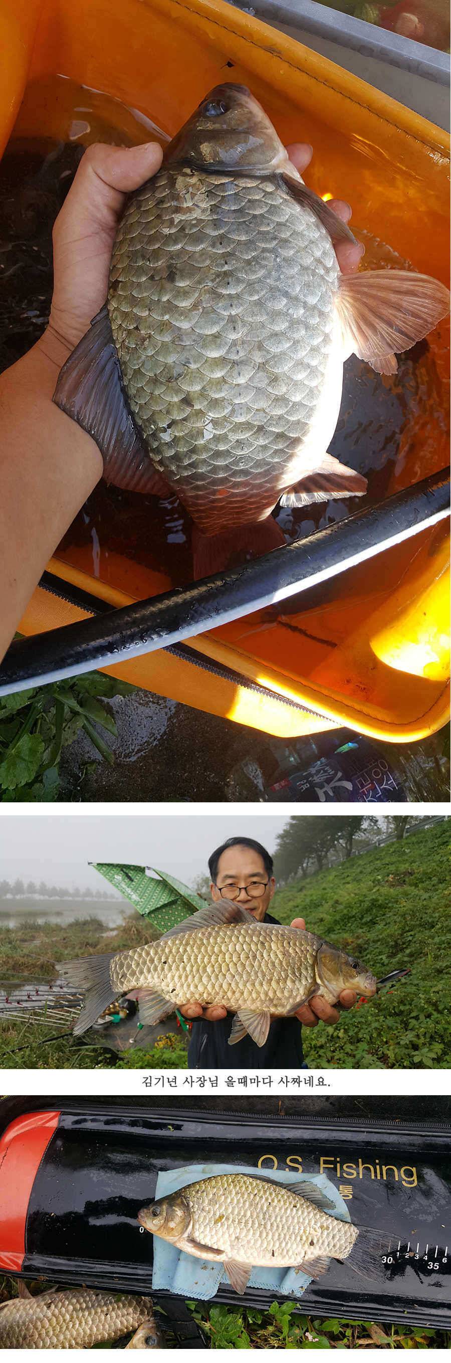 청도권 지난주 조황입니다 (조황조행기 - 특파원조황)