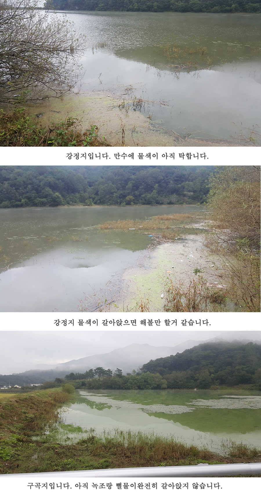 청도권 지난주 조황입니다 (조황조행기 - 특파원조황)