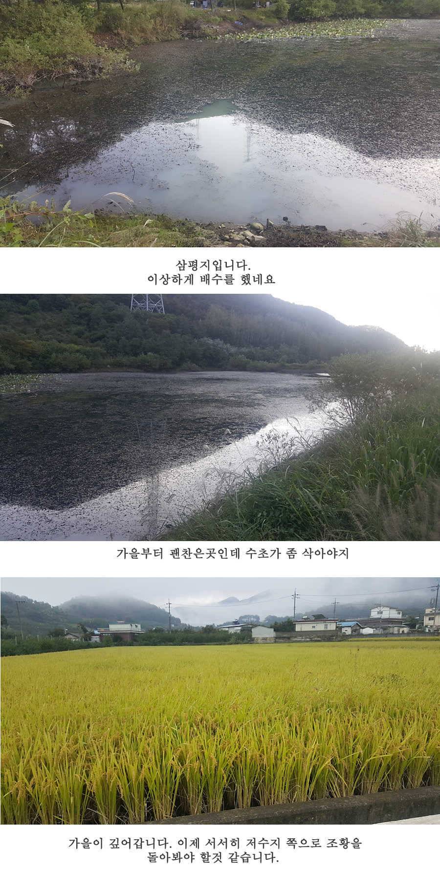 청도권 지난주 조황입니다 (조황조행기 - 특파원조황)