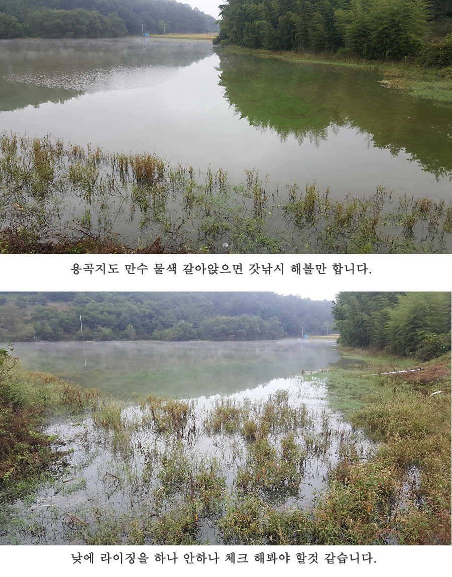 청도권 지난주 조황입니다 (조황조행기 - 특파원조황)