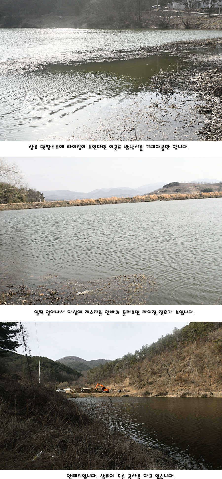 청도권 지난주 주중 조황정보 (조황조행기 - 특파원조황)