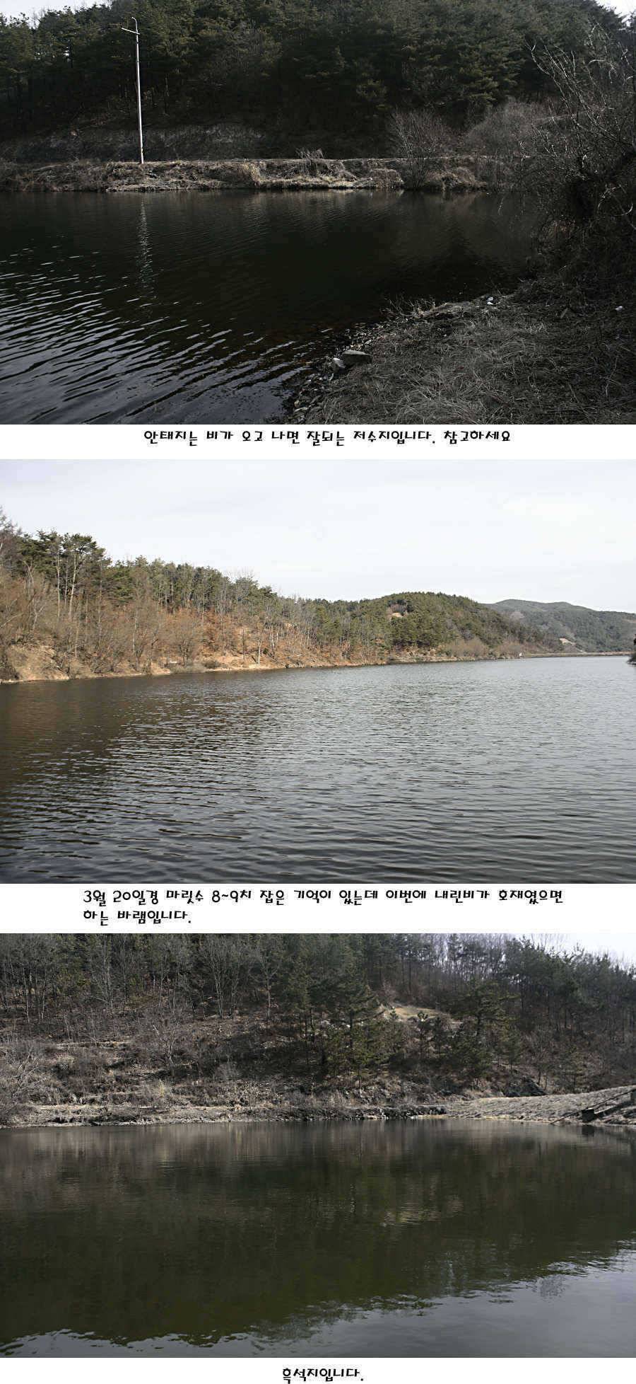 청도권 지난주 주중 조황정보 (조황조행기 - 특파원조황)