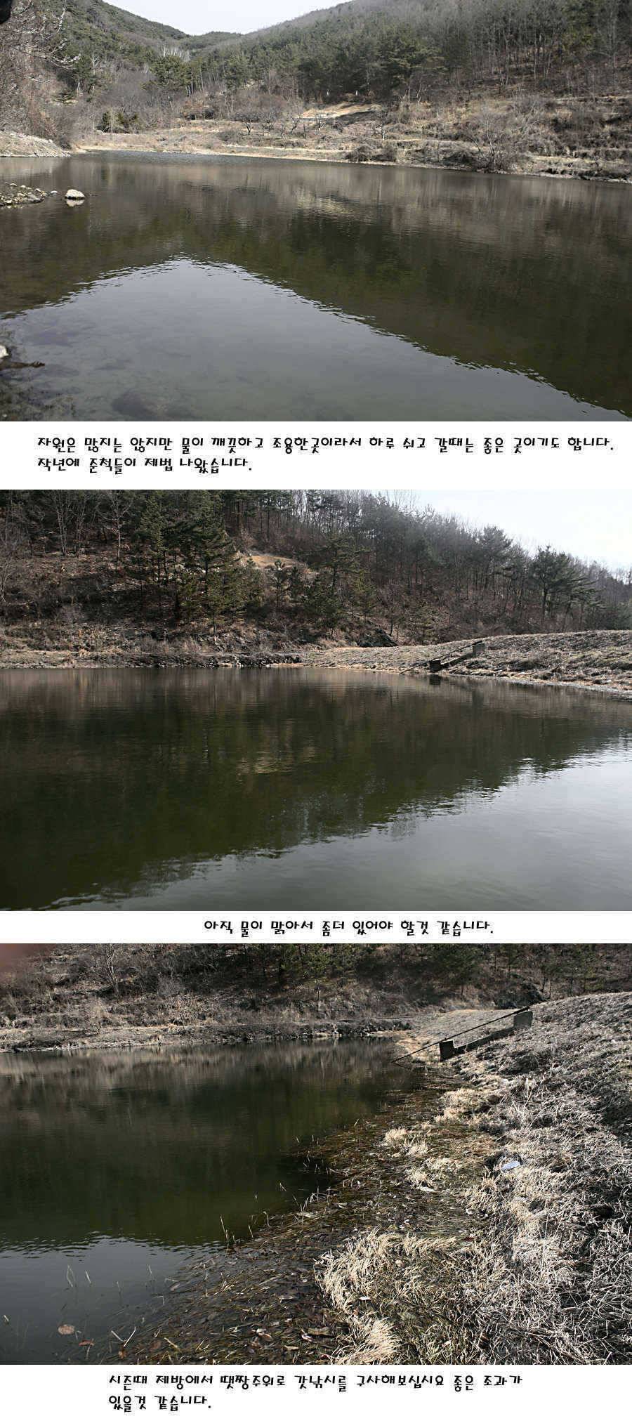 청도권 지난주 주중 조황정보 (조황조행기 - 특파원조황)