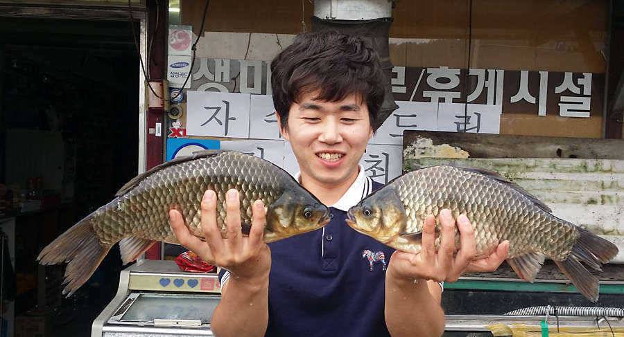 청도권 지난주 조황 대물 홍수 (조황조행기 - 특파원조황)