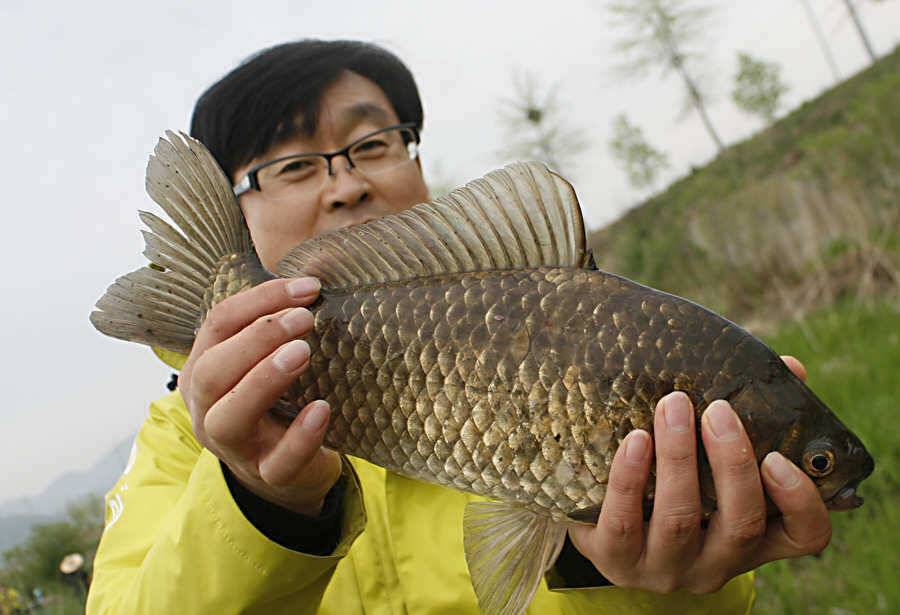 청도권 마릿수 대물 사짜 (조황조행기 - 특파원조황)