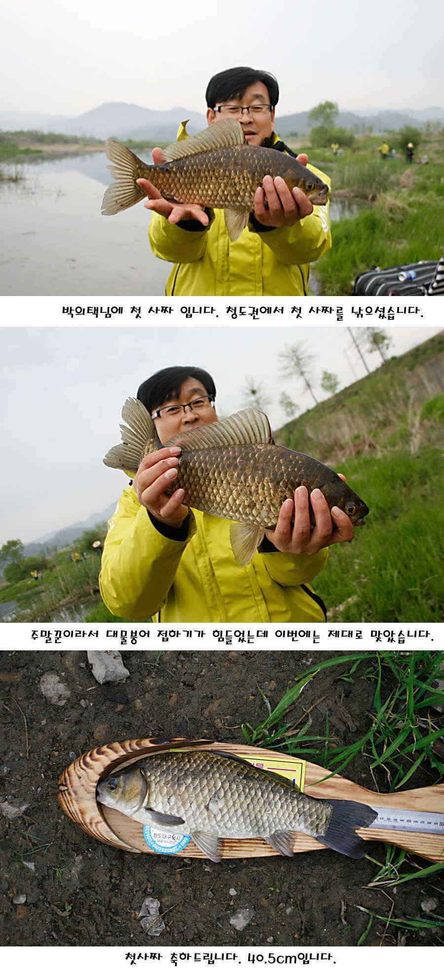 청도권 마릿수 대물 사짜 (조황조행기 - 특파원조황)