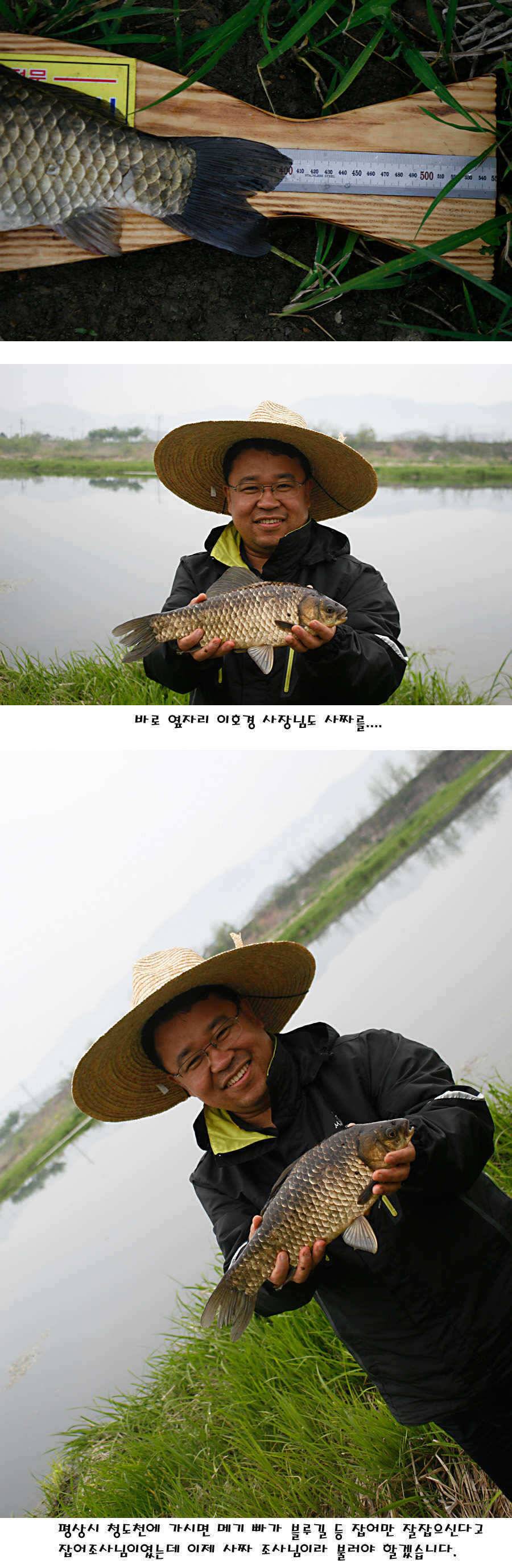 청도권 마릿수 대물 사짜 (조황조행기 - 특파원조황)