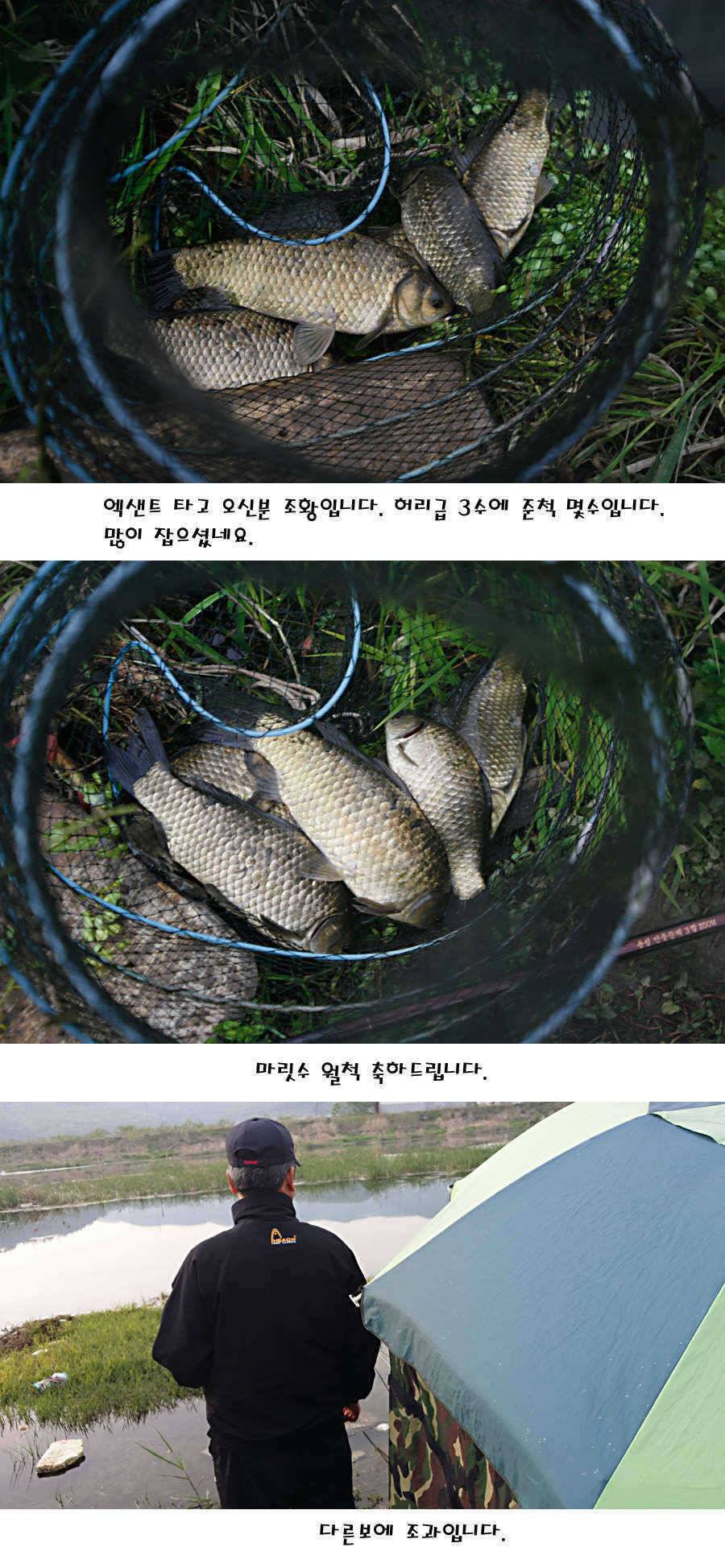 청도권 마릿수 대물 사짜 (조황조행기 - 특파원조황)