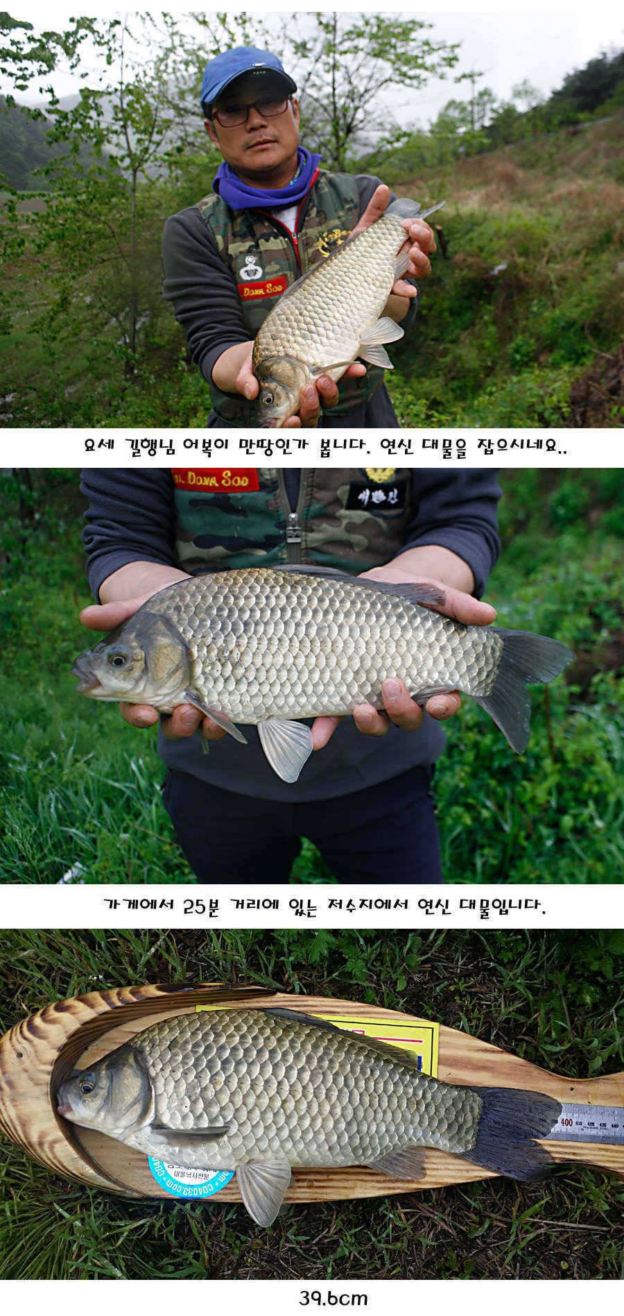 청도권 마릿수 대물 사짜 (조황조행기 - 특파원조황)