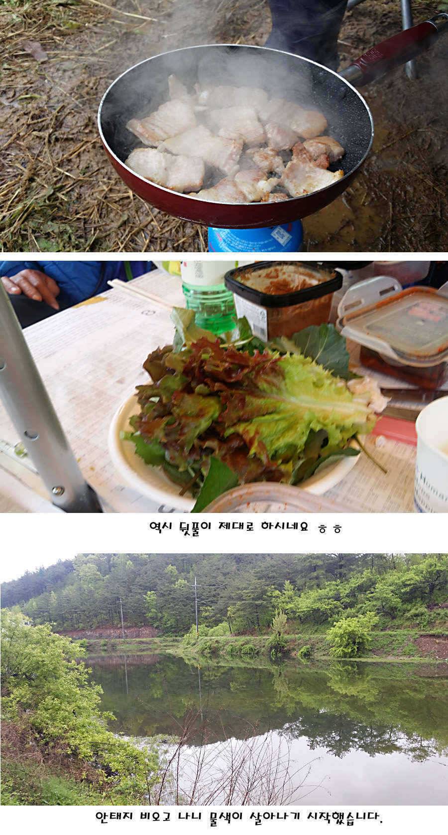 청도권 마릿수 대물 사짜 (조황조행기 - 특파원조황)