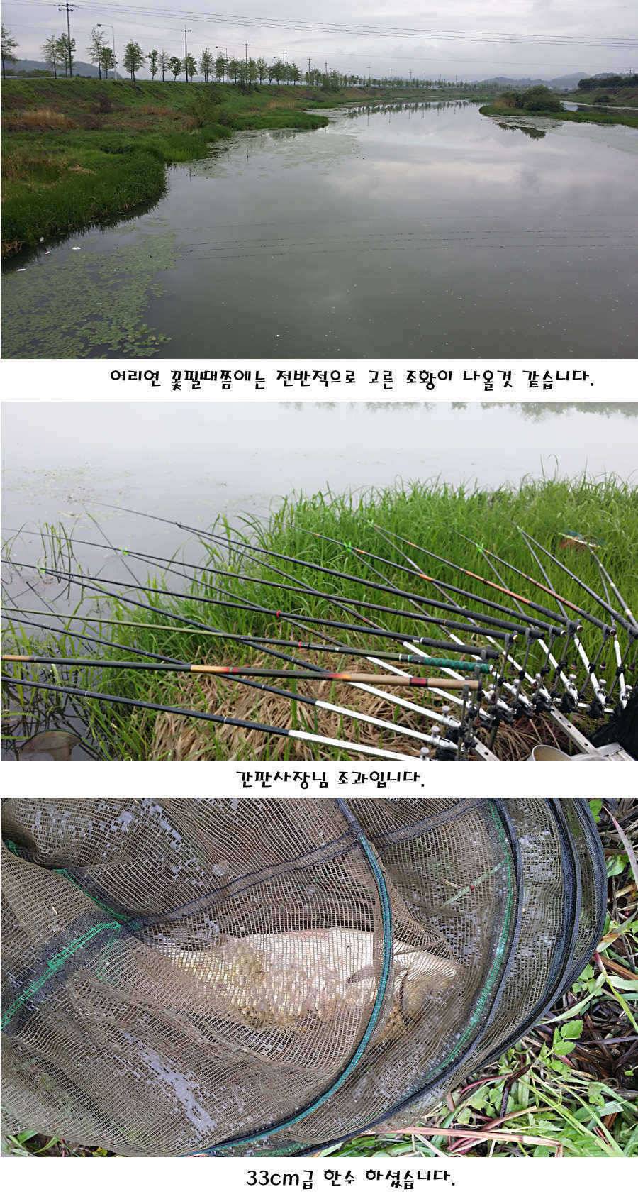 청도권 마릿수 대물 사짜 (조황조행기 - 특파원조황)