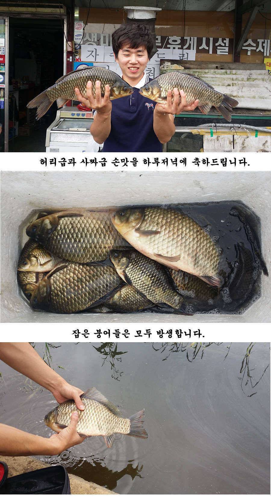 청도권 지난주 조황 대물 홍수 (조황조행기 - 특파원조황)