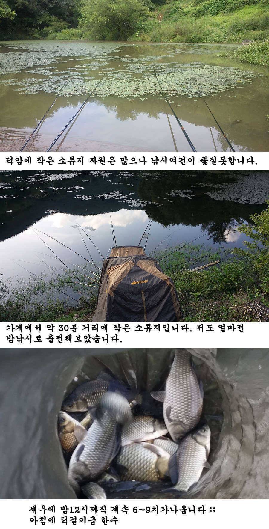 지난주말 이번주중 청도권 조황입니다 (조황조행기 - 특파원조황)