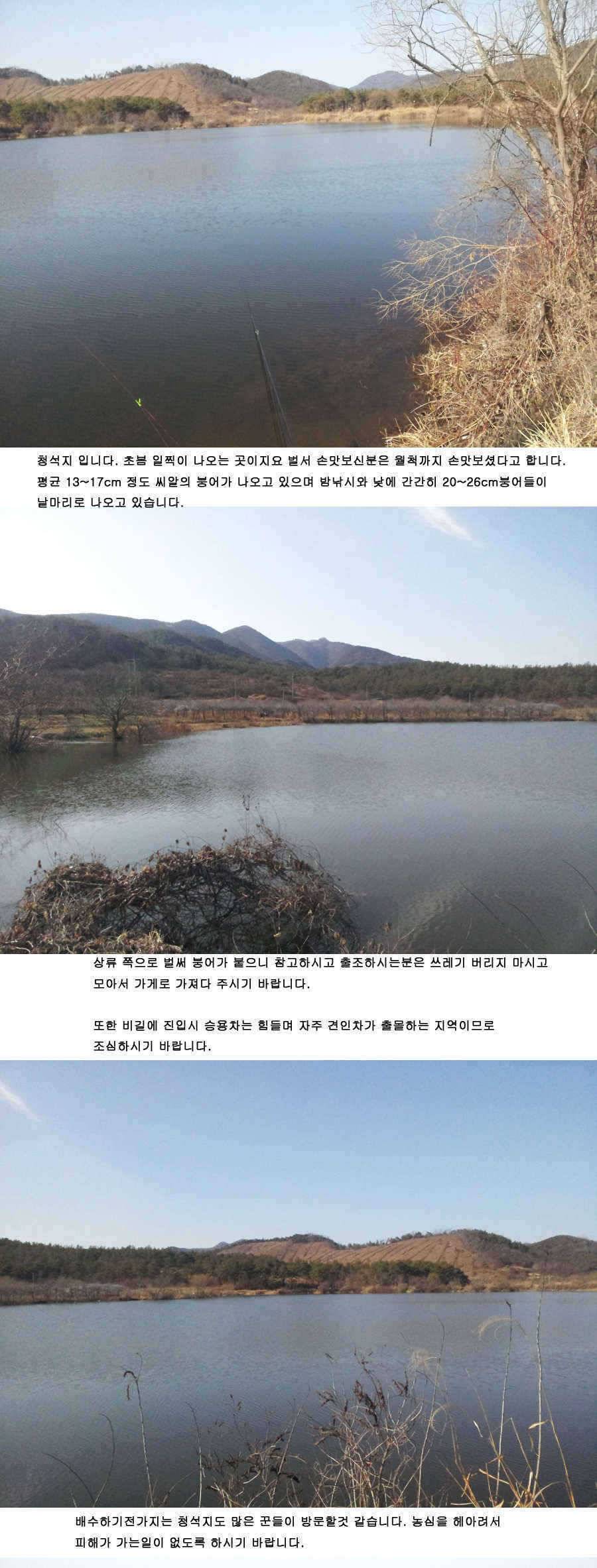 ▶청도권 저수지 조황정보 (조황조행기 - 특파원조황)