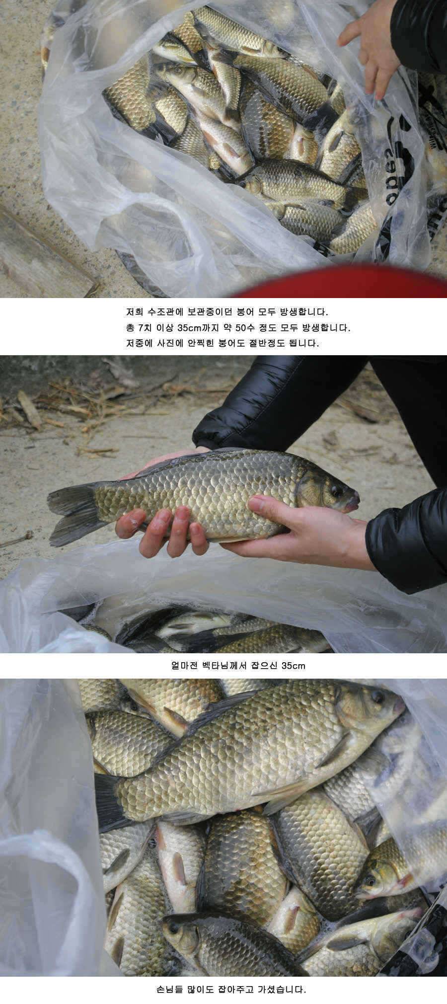 청도권 425 38 34 32 32 오늘조황 (조황조행기 - 특파원조황)