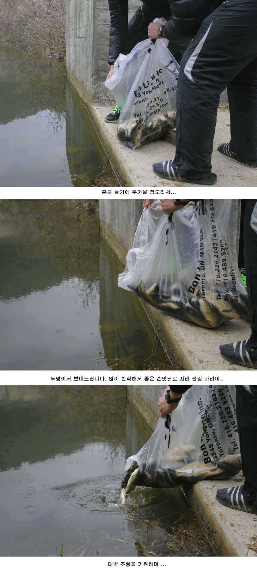 청도권 425 38 34 32 32 오늘조황 (조황조행기 - 특파원조황)