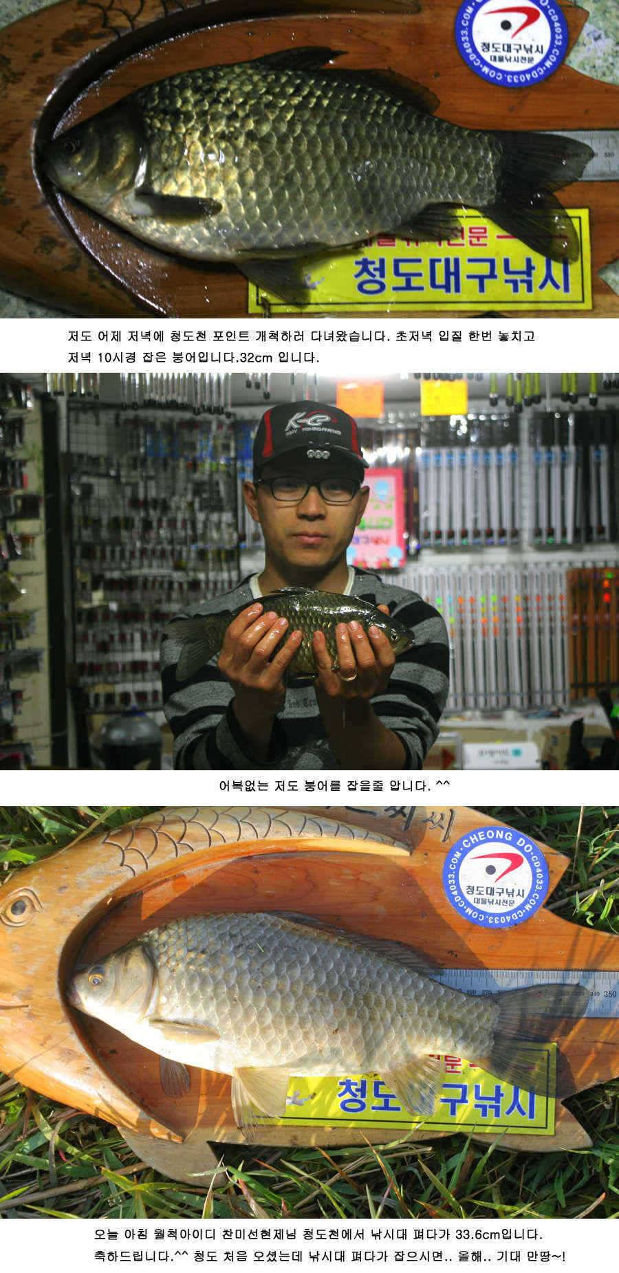 청도권 425 38 34 32 32 오늘조황 (조황조행기 - 특파원조황)