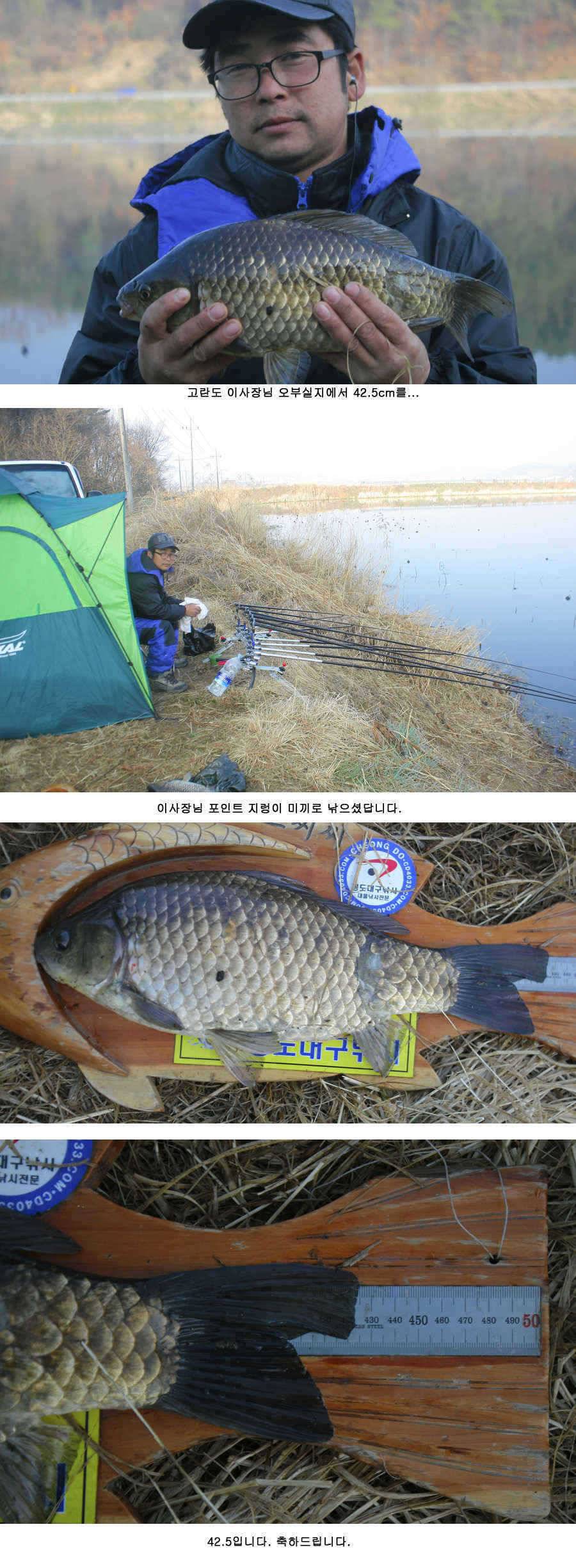 청도권 425 38 34 32 32 오늘조황 (조황조행기 - 특파원조황)